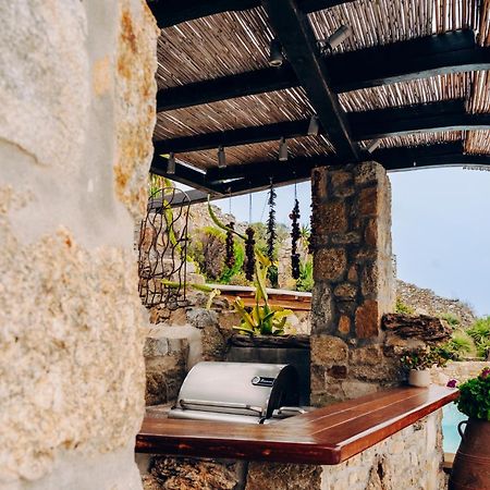 Villa Dimilia Mykonos Town Kültér fotó
