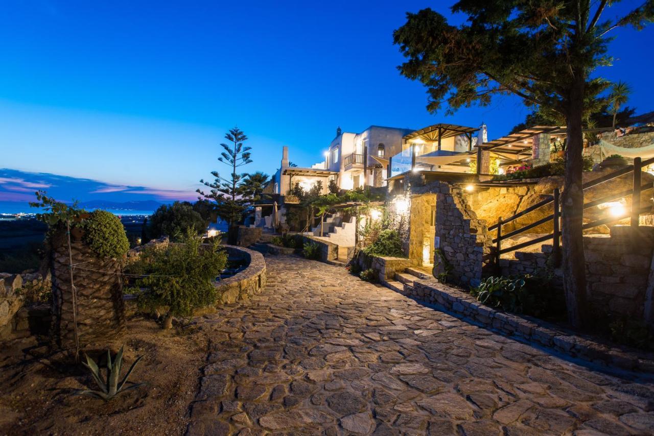 Villa Dimilia Mykonos Town Kültér fotó